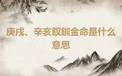 釵環金命|釵釧金:簡介,總論,庚戌,辛亥,